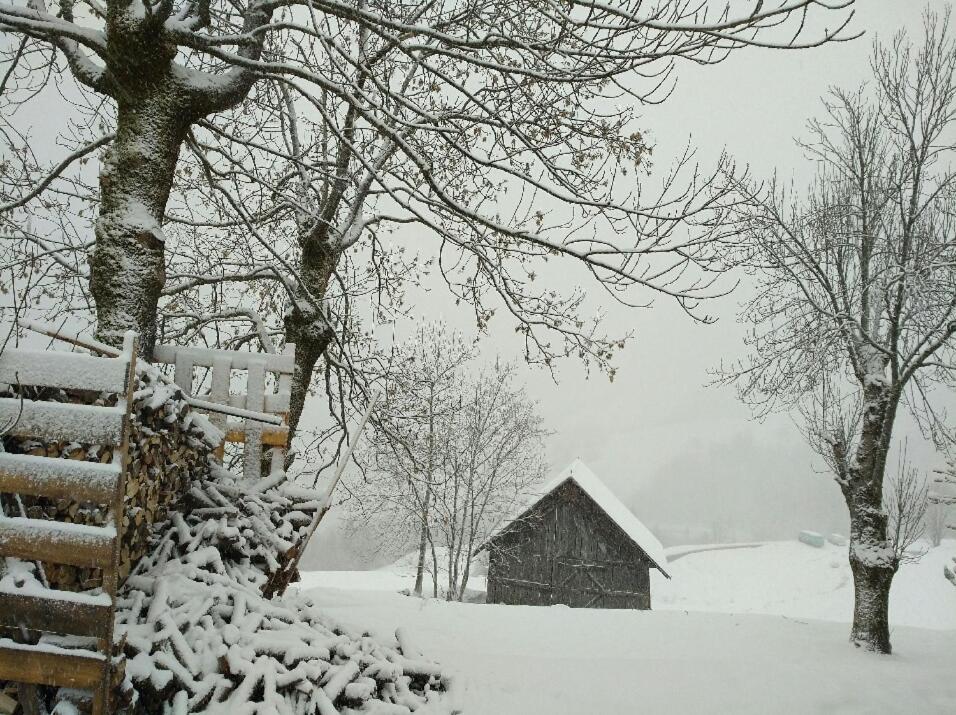 ואלמורל Chalet Lucie Le Cheval Noir מראה חיצוני תמונה
